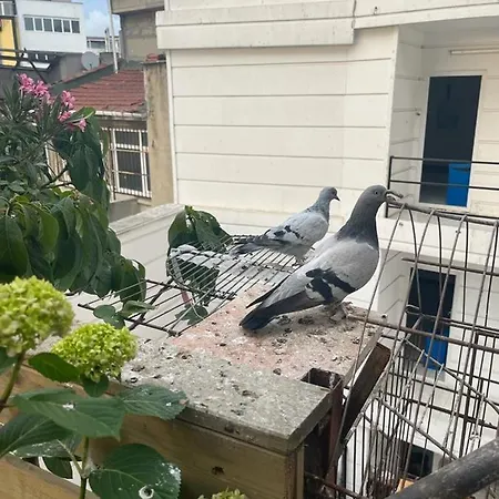 Kadikoy Terrace Bbq Close 2 Block Ferry Bull Metro Nighlife Apartment *