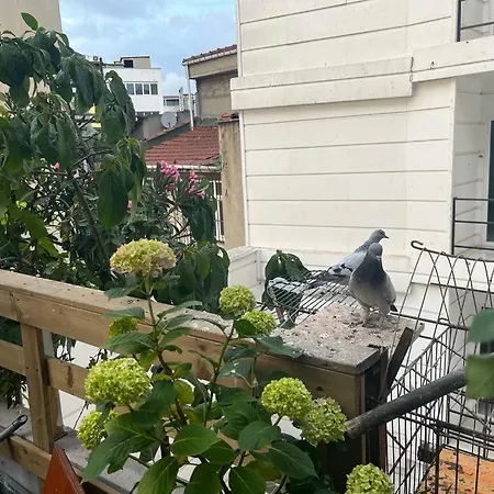 Kadikoy Terrace Bbq Close 2 Block Ferry Bull Metro Nighlife Apartment