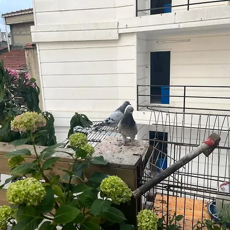 Kadikoy Terrace Bbq Close 2 Block Ferry Bull Metro Nighlife * Istanbul